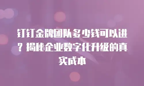 钉钉金牌团队多少钱可以进？揭秘企业数字化升级的真实成本