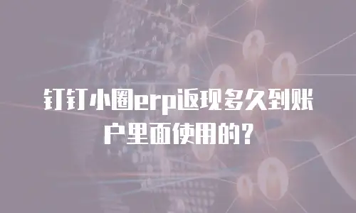 钉钉小圈erp返现多久到账户里面使用的？