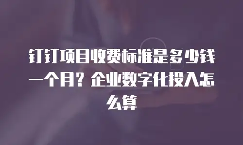 钉钉项目收费标准是多少钱一个月？企业数字化投入怎么算