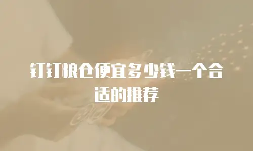 钉钉粮仓便宜多少钱一个合适的推荐