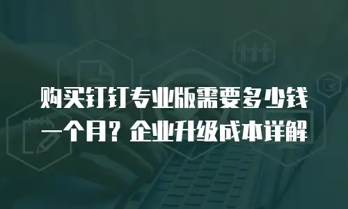 购买钉钉专业版需要多少钱一个月？企业升级成本详解
