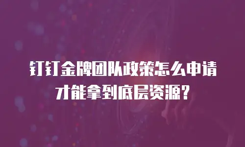 钉钉金牌团队政策怎么申请才能拿到底层资源？