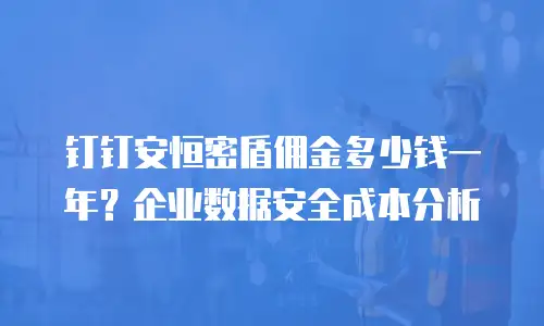 钉钉安恒密盾佣金多少钱一年？企业数据安全成本分析