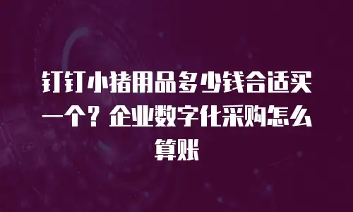 钉钉小猪用品多少钱合适买一个？企业数字化采购怎么算账