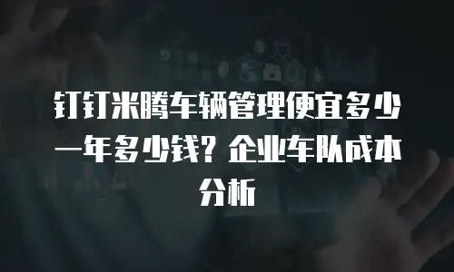 钉钉米腾车辆管理便宜多少一年多少钱？企业车队成本分析