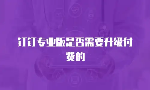 钉钉专业版是否需要升级付费的