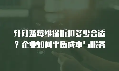 钉钉蓝莓维保折扣多少合适？企业如何平衡成本与服务