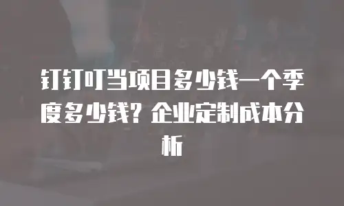 钉钉叮当项目多少钱一个季度多少钱？企业定制成本分析