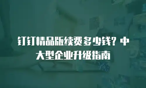 钉钉精品版续费多少钱？中大型企业升级指南