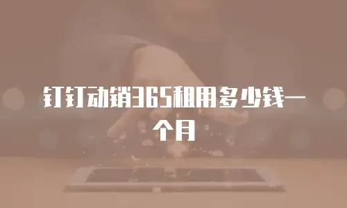 钉钉动销365租用多少钱一个月