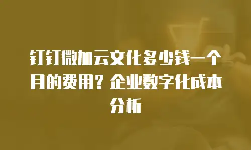 钉钉微加云文化多少钱一个月的费用？企业数字化成本分析