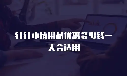 钉钉小猪用品优惠多少钱一天合适用