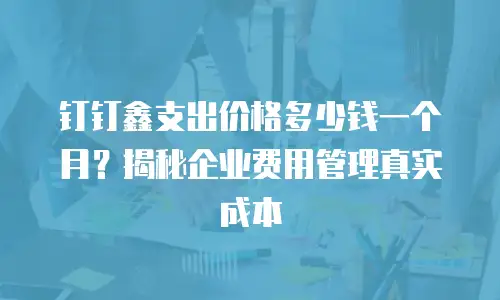 钉钉鑫支出价格多少钱一个月？揭秘企业费用管理真实成本