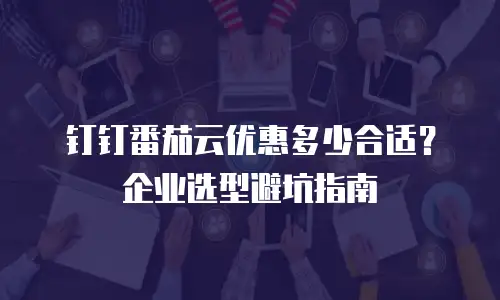 钉钉番茄云优惠多少合适？企业选型避坑指南