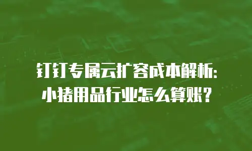 钉钉专属云扩容成本解析：小猪用品行业怎么算账？
