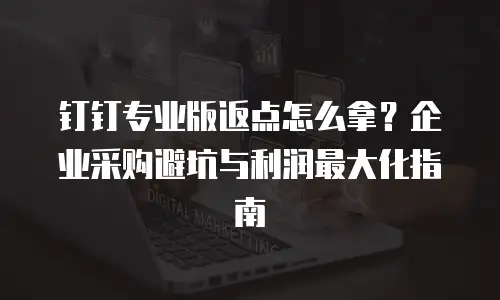 钉钉专业版返点怎么拿？企业采购避坑与利润最大化指南