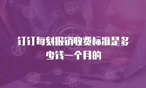 钉钉每刻报销收费标准是多少钱一个月的