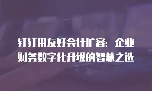 钉钉用友好会计扩容：企业财务数字化升级的智慧之选