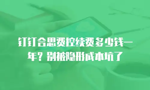 钉钉合思费控续费多少钱一年？别被隐形成本坑了