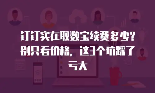 钉钉实在取数宝续费多少？别只看价格，这3个坑踩了亏大