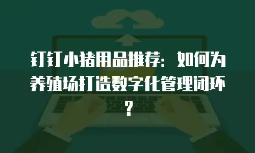 钉钉小猪用品推荐：如何为养殖场打造数字化管理闭环？