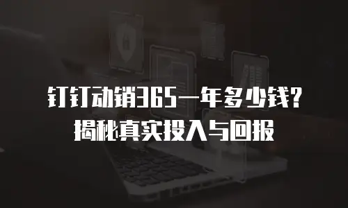 钉钉动销365一年多少钱？揭秘真实投入与回报
