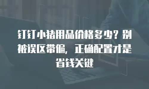 钉钉小猪用品价格多少？别被误区带偏，正确配置才是省钱关键