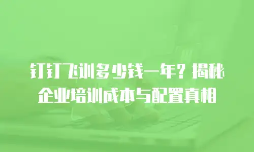 钉钉飞训多少钱一年？揭秘企业培训成本与配置真相