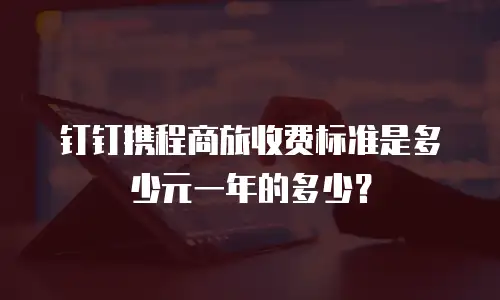 钉钉携程商旅收费标准是多少元一年的多少？