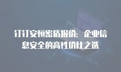 钉钉安恒密盾报价：企业信息安全的高性价比之选