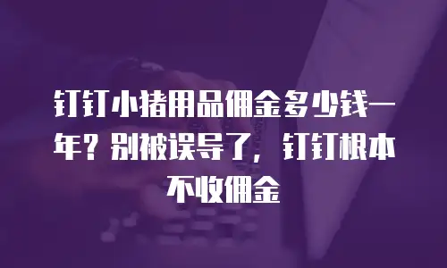 钉钉小猪用品佣金多少钱一年？别被误导了，钉钉根本不收佣金