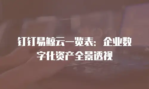 钉钉易鲸云一览表：企业数字化资产全景透视