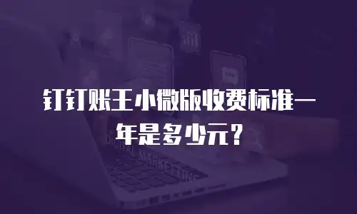 钉钉账王小微版收费标准一年是多少元？