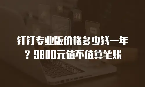 钉钉专业版价格多少钱一年？9800元值不值算笔账
