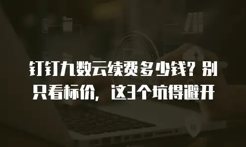 钉钉九数云续费多少钱？别只看标价，这3个坑得避开
