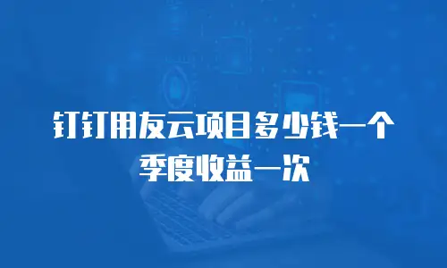 钉钉用友云项目多少钱一个季度收益一次