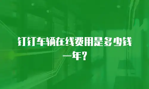 钉钉车辆在线费用是多少钱一年？