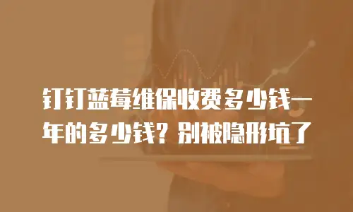 钉钉蓝莓维保收费多少钱一年的多少钱？别被隐形坑了