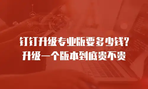 钉钉升级专业版要多少钱？升级一个版本到底贵不贵
