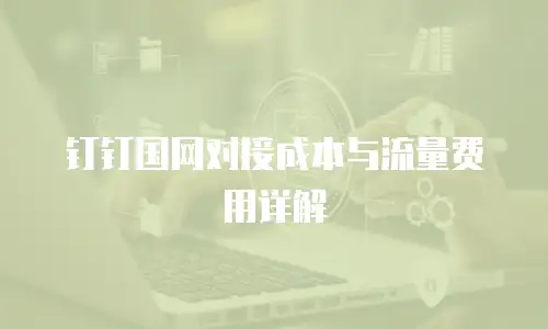 钉钉国网对接成本与流量费用详解