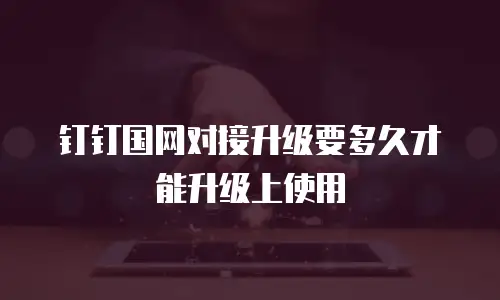 钉钉国网对接升级要多久才能升级上使用