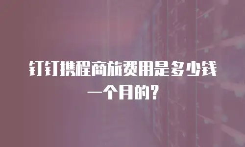 钉钉携程商旅费用是多少钱一个月的？