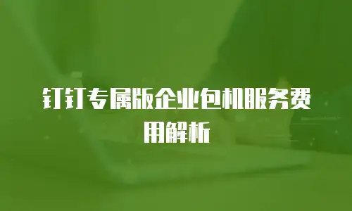 钉钉专属版企业包机服务费用解析