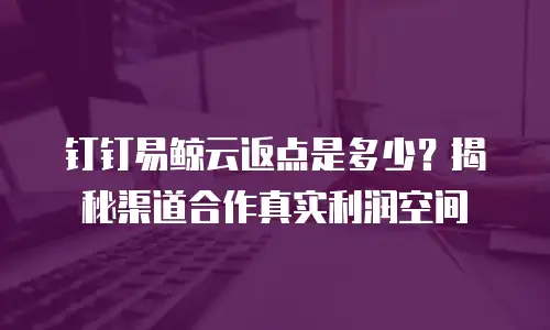 钉钉易鲸云返点是多少？揭秘渠道合作真实利润空间