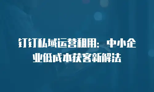 钉钉私域运营租用：中小企业低成本获客新解法