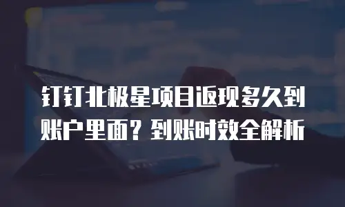 钉钉北极星项目返现多久到账户里面？到账时效全解析