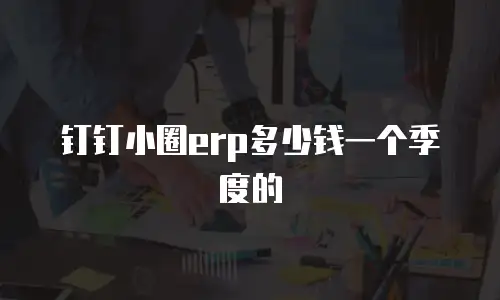 钉钉小圈erp多少钱一个季度的