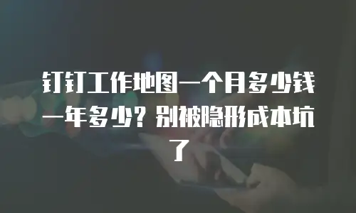 钉钉工作地图一个月多少钱一年多少？别被隐形成本坑了