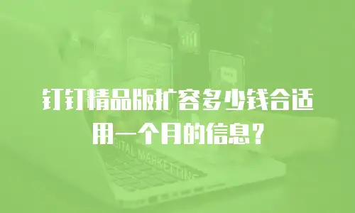 钉钉精品版扩容多少钱合适用一个月的信息？