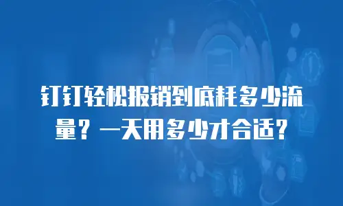 钉钉轻松报销到底耗多少流量？一天用多少才合适？